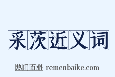 采茨近义词是什么意思的图片